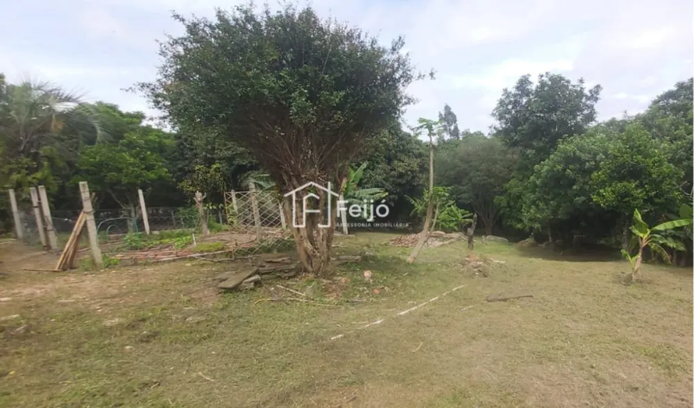 Sítio, 2 quartos, 5580 m² - Foto 6