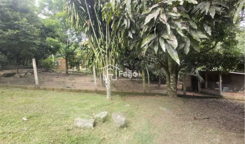 Sítio, 2 quartos, 6000 m² - Foto 1