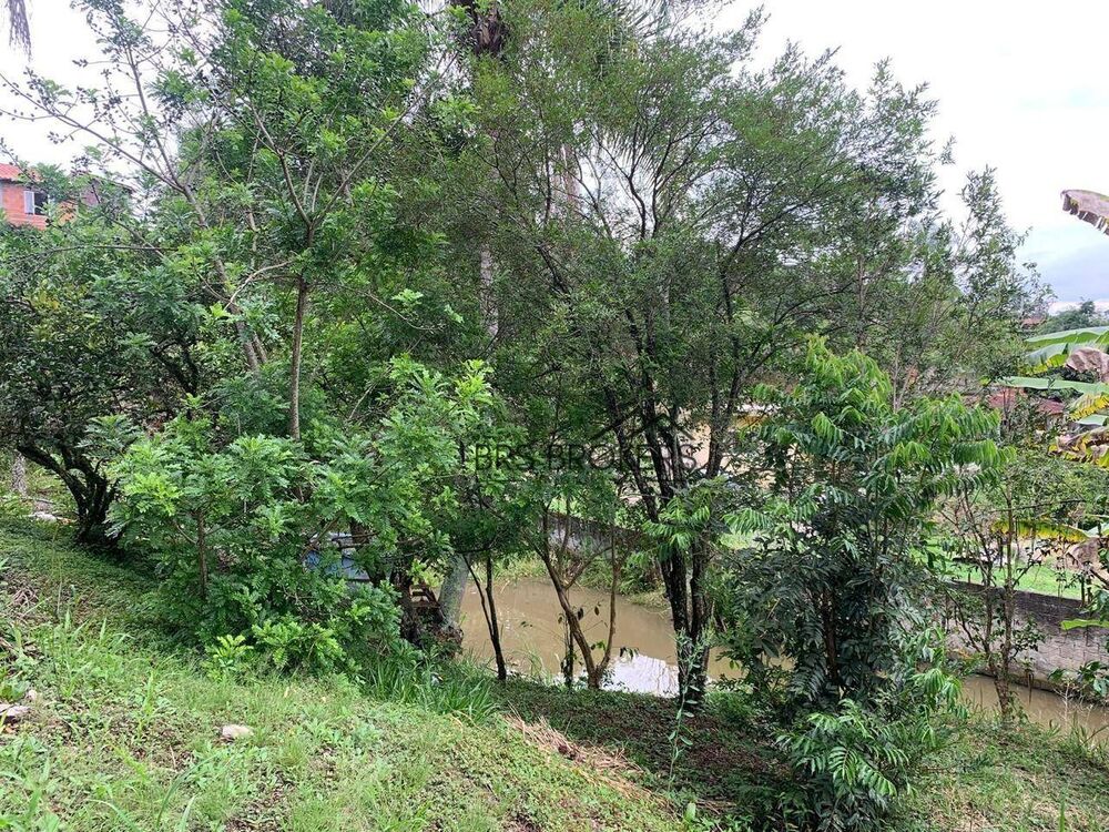 Chácara, 2 quartos, 3000 m² - Foto 7