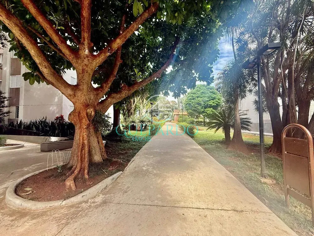 Apartamento, 3 quartos, 70 m² - Foto 19