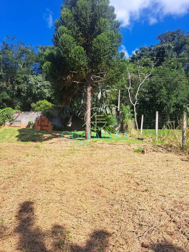 Terreno, 3695 m² - Foto 7