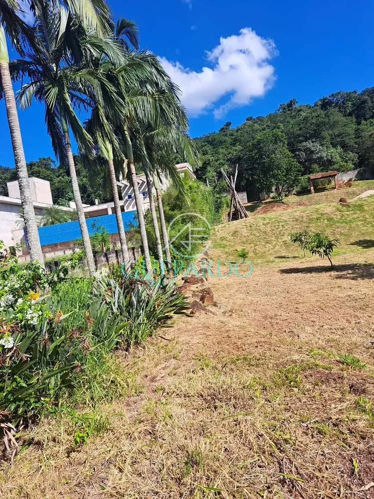 Terreno, 3695 m² - Foto 4