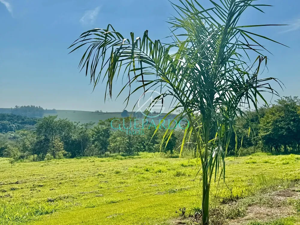 Terreno, 2046 m² - Foto 10