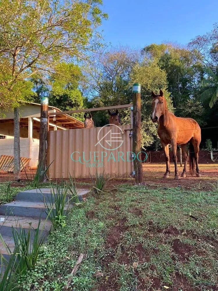 Chácara, 3 quartos, 6000 m² - Foto 5
