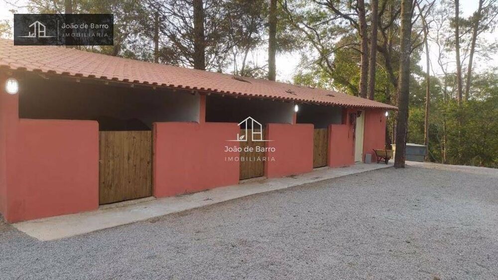 Chácara, 4 quartos, 7800 m² - Foto 2