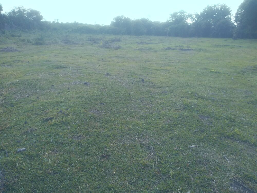 Terreno à venda, 1000m² - Foto 3