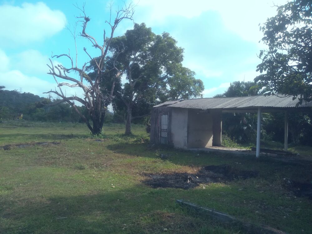Terreno à venda, 1000m² - Foto 1