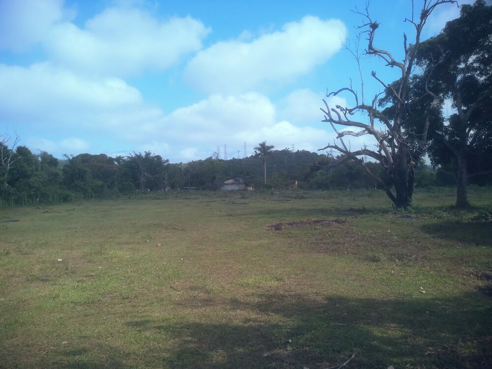 Terreno à venda, 1000m² - Foto 4