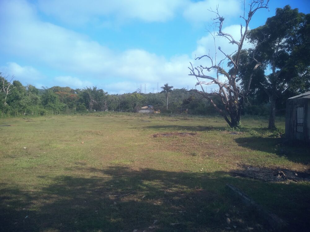 Terreno à venda, 1000m² - Foto 2