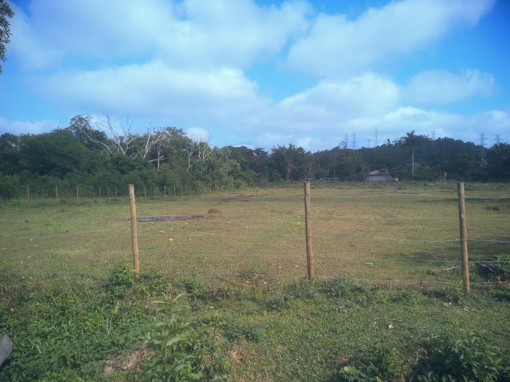 Terreno à venda, 1000m² - Foto 5
