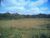 Terreno, 1000 m² - Foto 5