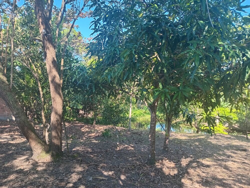 Chácara, 2 quartos, 1800 m² - Foto 1