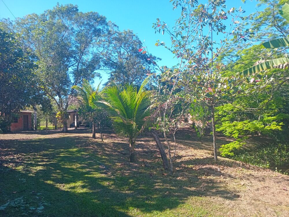 Chácara, 2 quartos, 1800 m² - Foto 7