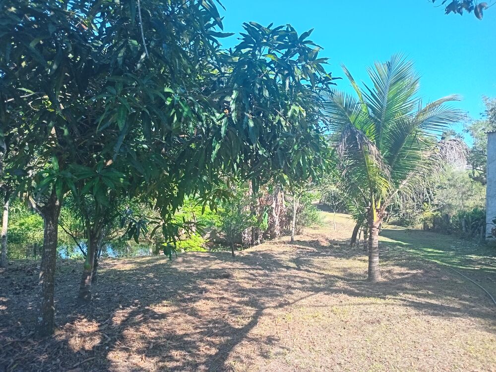 Chácara, 2 quartos, 1800 m² - Foto 11