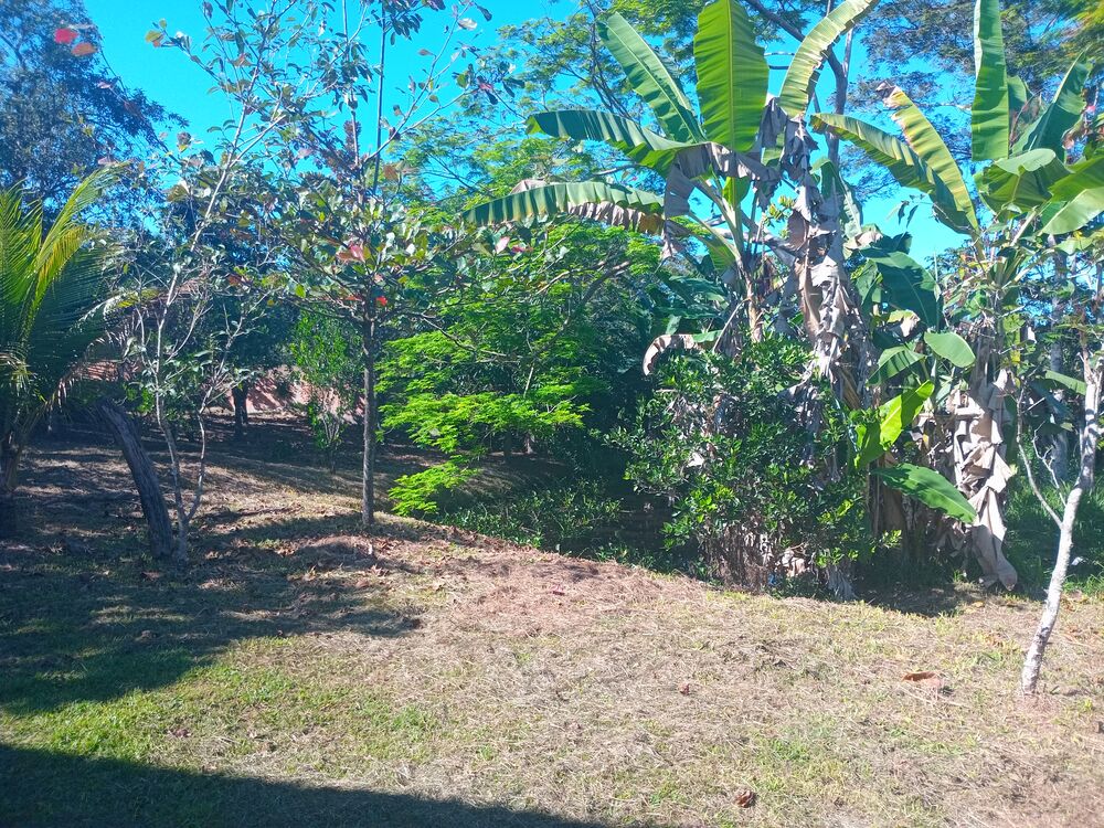 Chácara, 2 quartos, 1800 m² - Foto 9