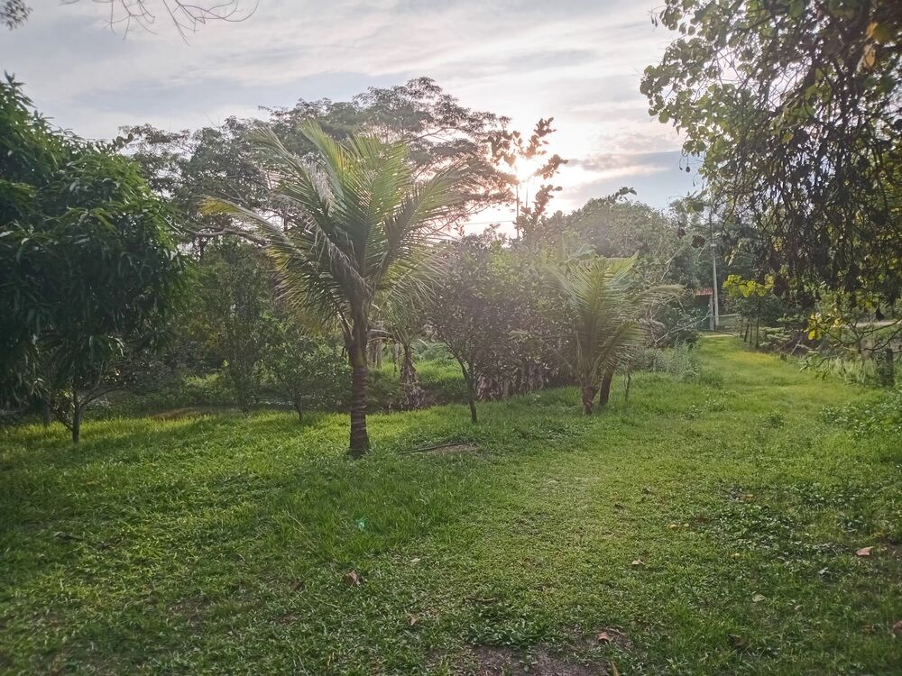 Chácara, 2 quartos, 1800 m² - Foto 8