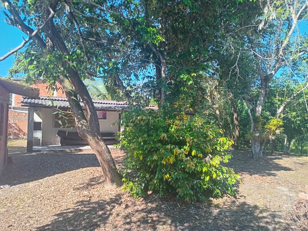 Chácara, 2 quartos, 1800 m² - Foto 3