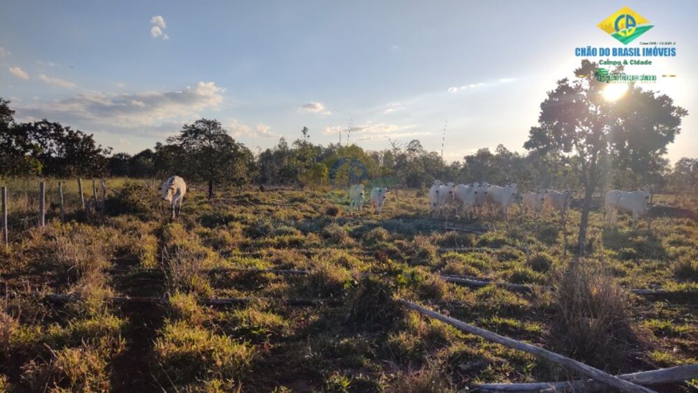 Sítio, 2 quartos - Foto 15