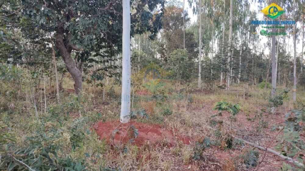 Sítio, 2 quartos - Foto 5