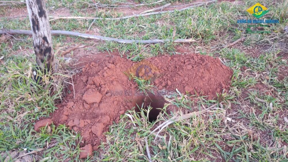 Sítio, 2 quartos - Foto 9