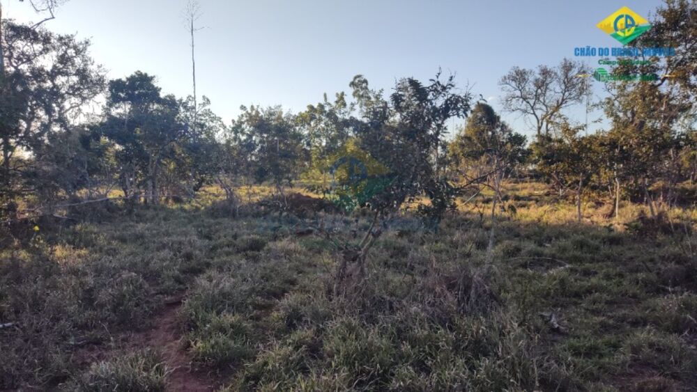 Sítio, 2 quartos - Foto 13