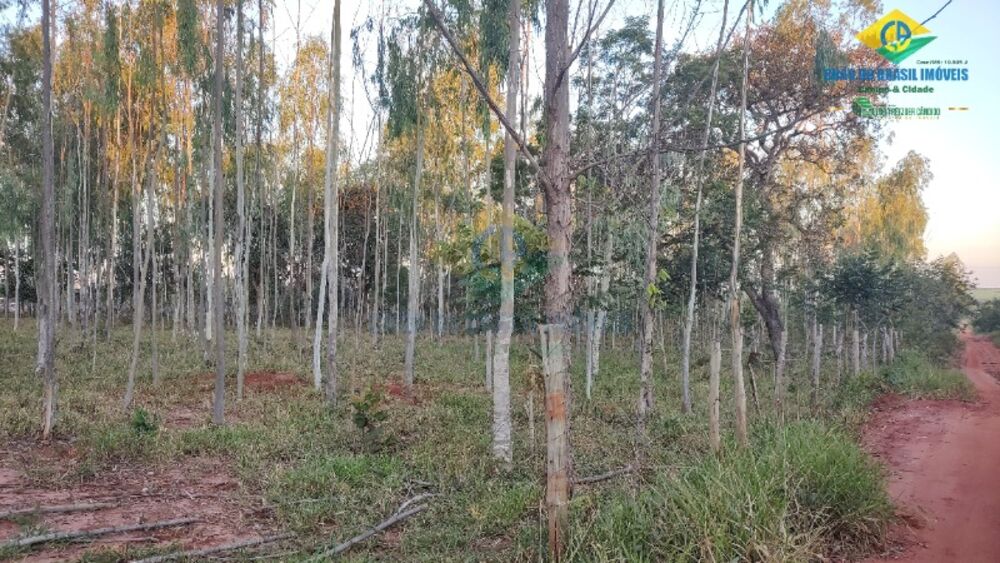 Sítio, 2 quartos - Foto 4