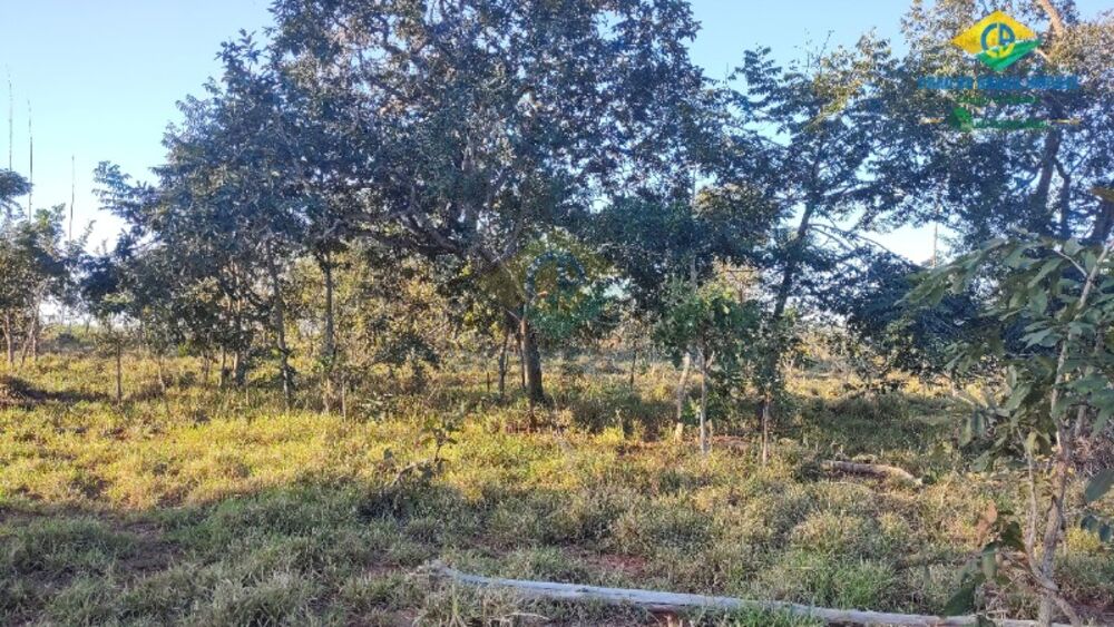 Sítio, 2 quartos - Foto 12