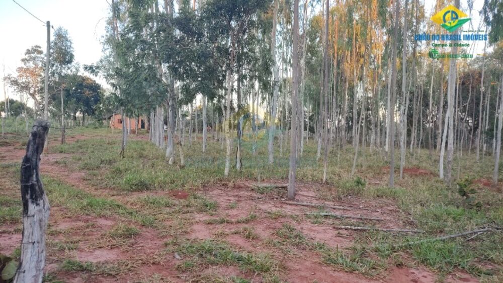 Sítio, 2 quartos - Foto 6