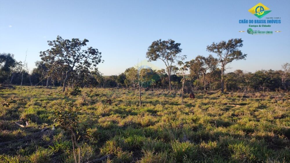 Sítio, 2 quartos - Foto 19