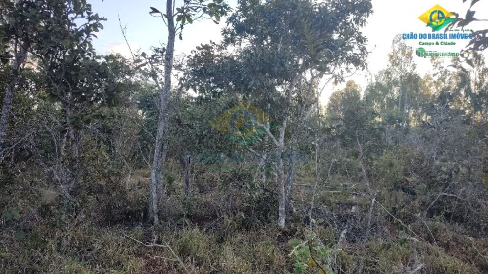 Sítio, 2 quartos - Foto 20