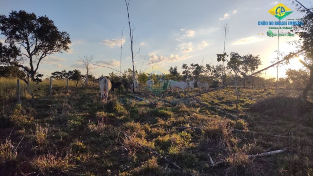 Sítio, 2 quartos - Foto 2