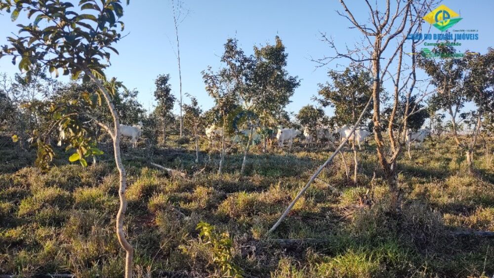 Sítio, 2 quartos - Foto 14