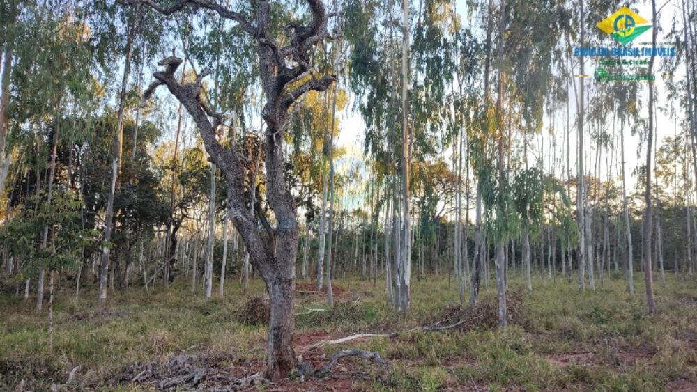 Sítio, 2 quartos - Foto 11