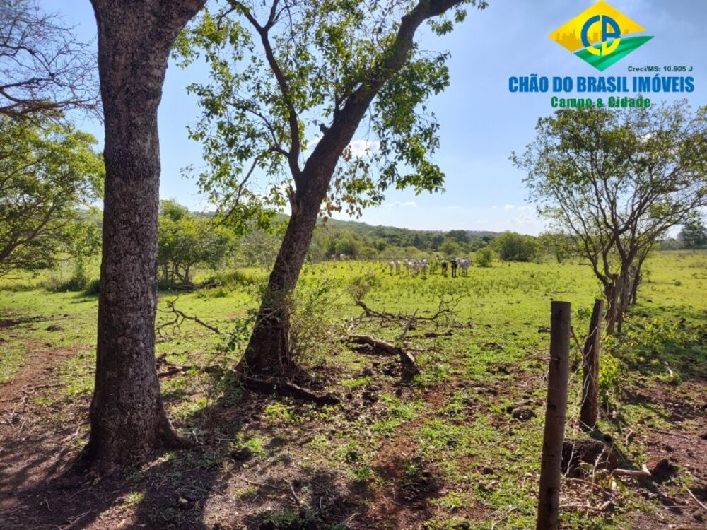 Fazenda, 3 quartos - Foto 11