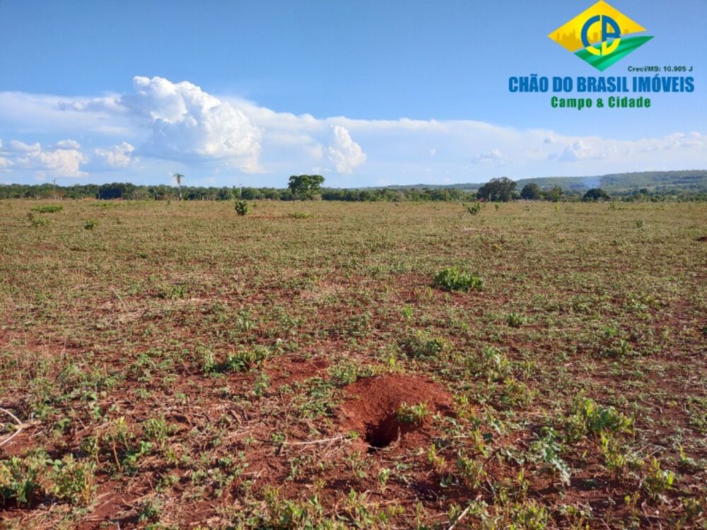 Fazenda, 3 quartos - Foto 20