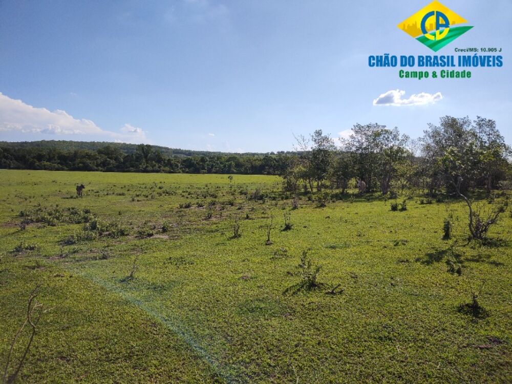 Fazenda, 3 quartos - Foto 13