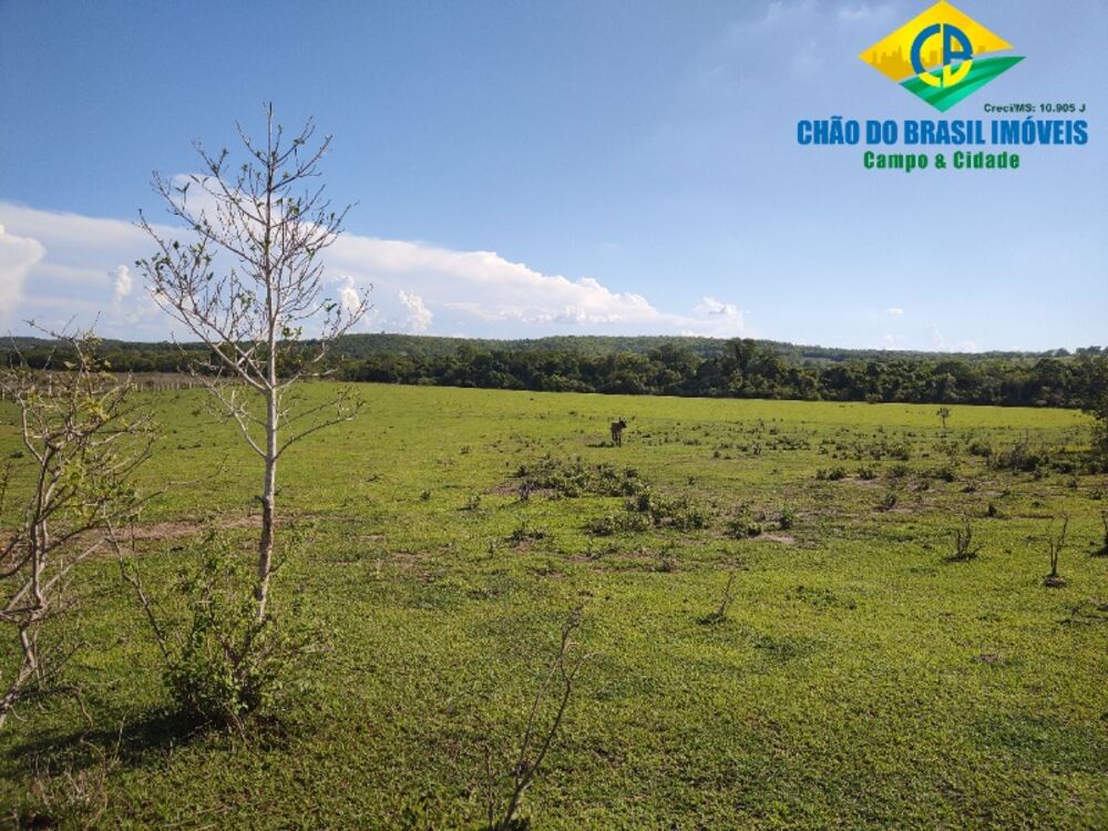 Fazenda, 3 quartos - Foto 12