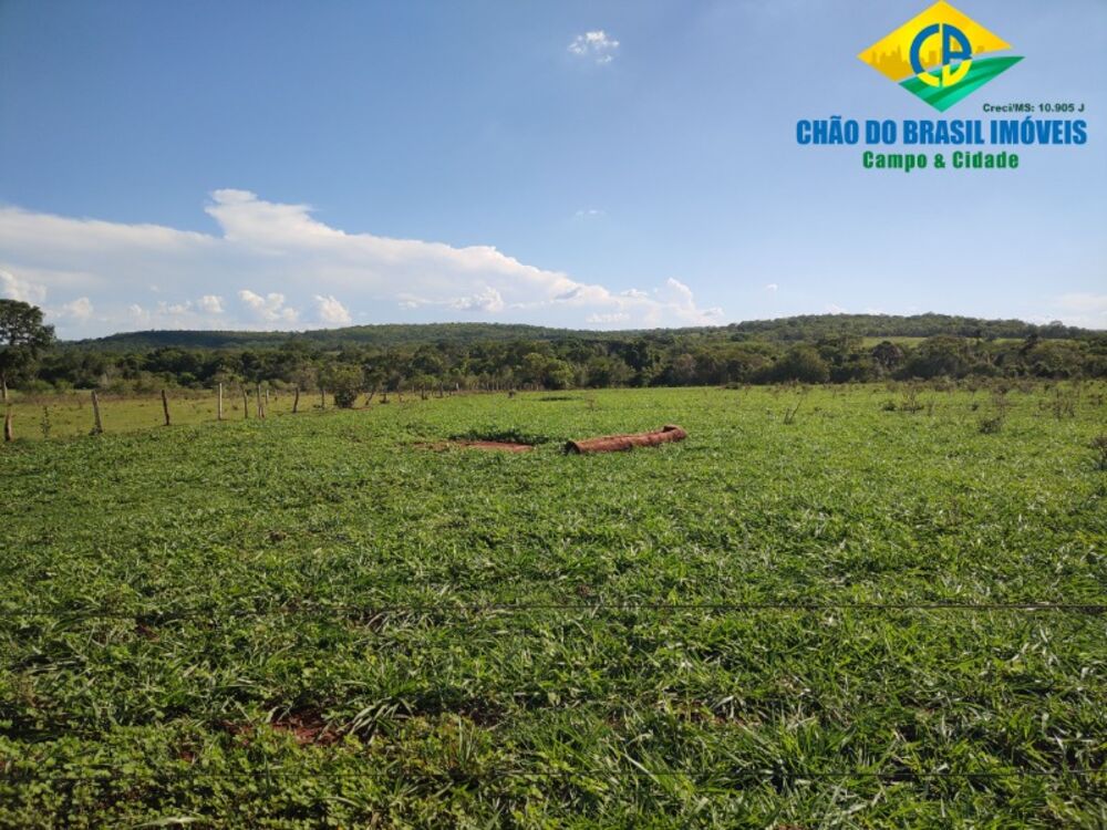 Fazenda, 3 quartos - Foto 8