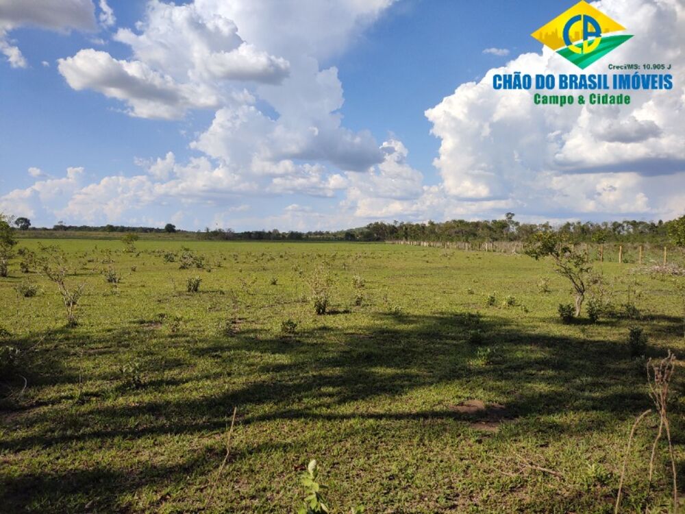 Fazenda, 3 quartos - Foto 15