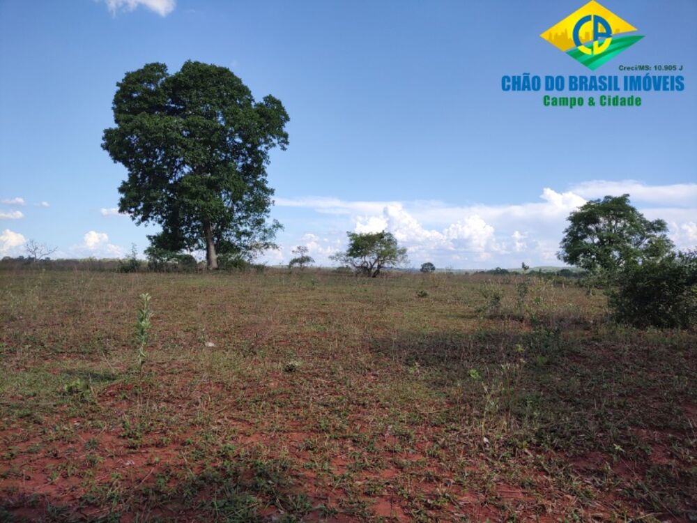 Fazenda, 3 quartos - Foto 4