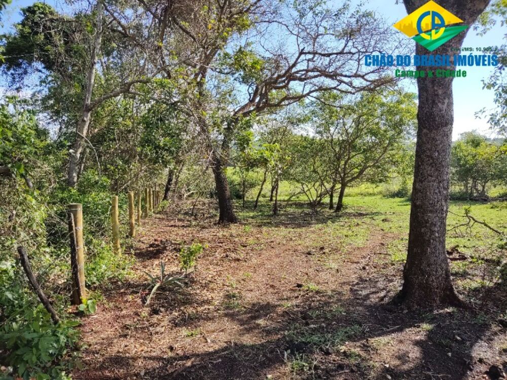 Fazenda, 3 quartos - Foto 10