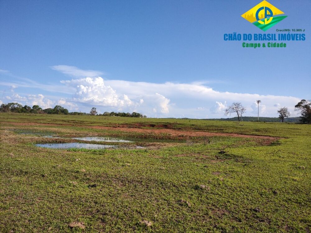 Fazenda, 3 quartos - Foto 19