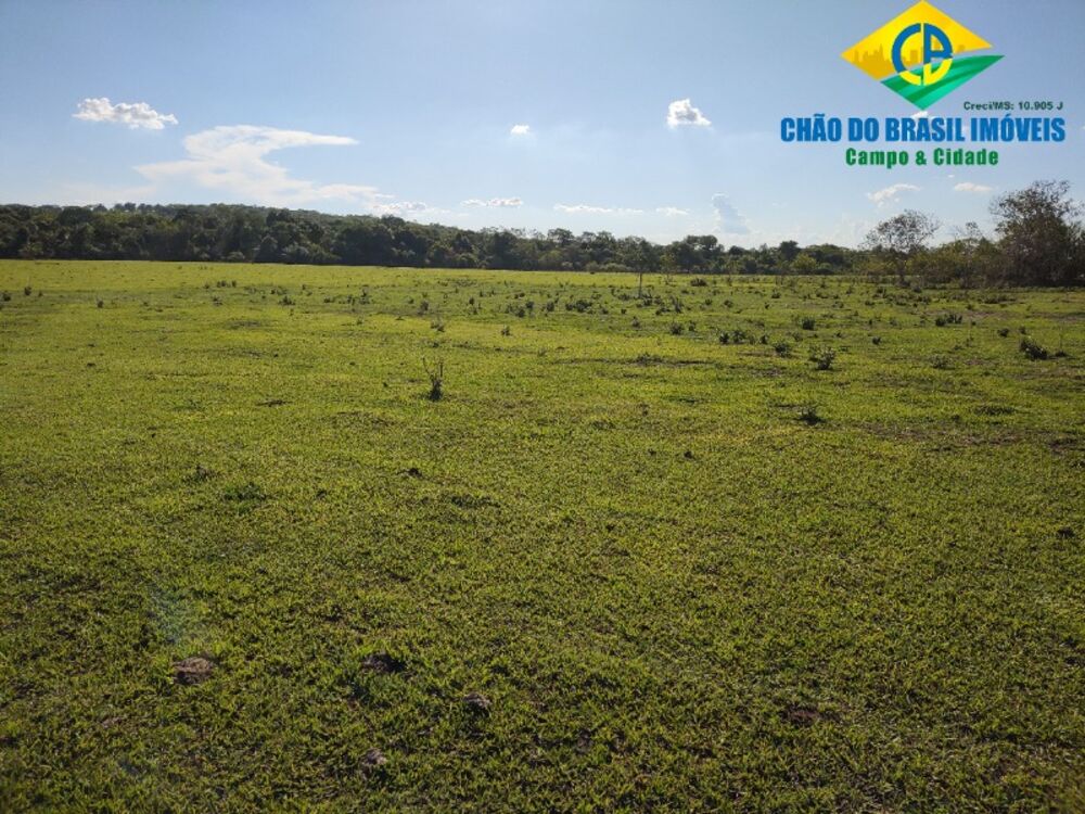 Fazenda, 3 quartos - Foto 18