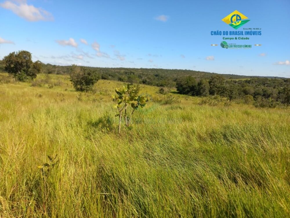 Fazenda à venda com 2 quartos, 1000m² - Foto 4