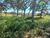 Fazenda, 2 quartos - Foto 1