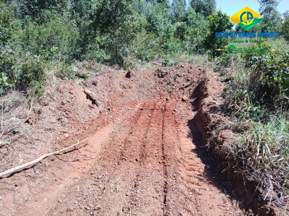 Fazenda à venda com 1 quarto, 50m² - Foto 18