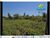 Fazenda-Sítio-Chácara, 1 quarto - Foto 3