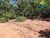 Fazenda-Sítio-Chácara, 1 quarto - Foto 19