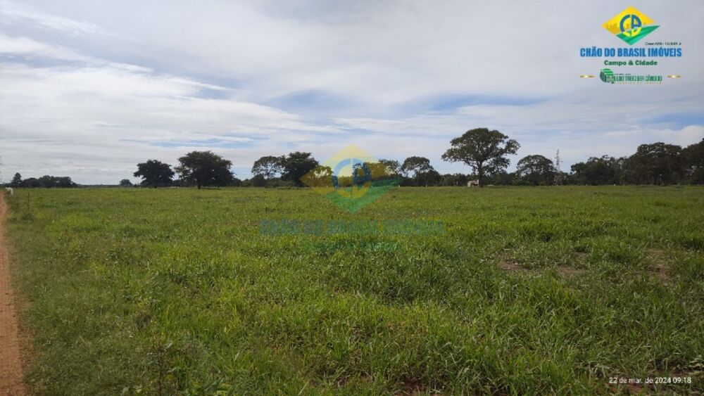 Chácara, 1 quarto - Foto 2