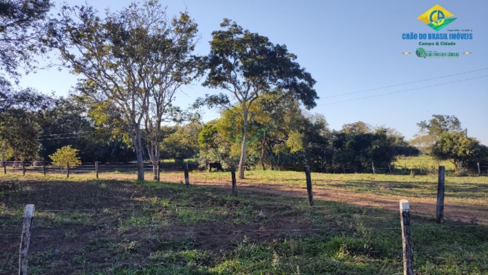 Chácara à venda com 3 quartos - Foto 2